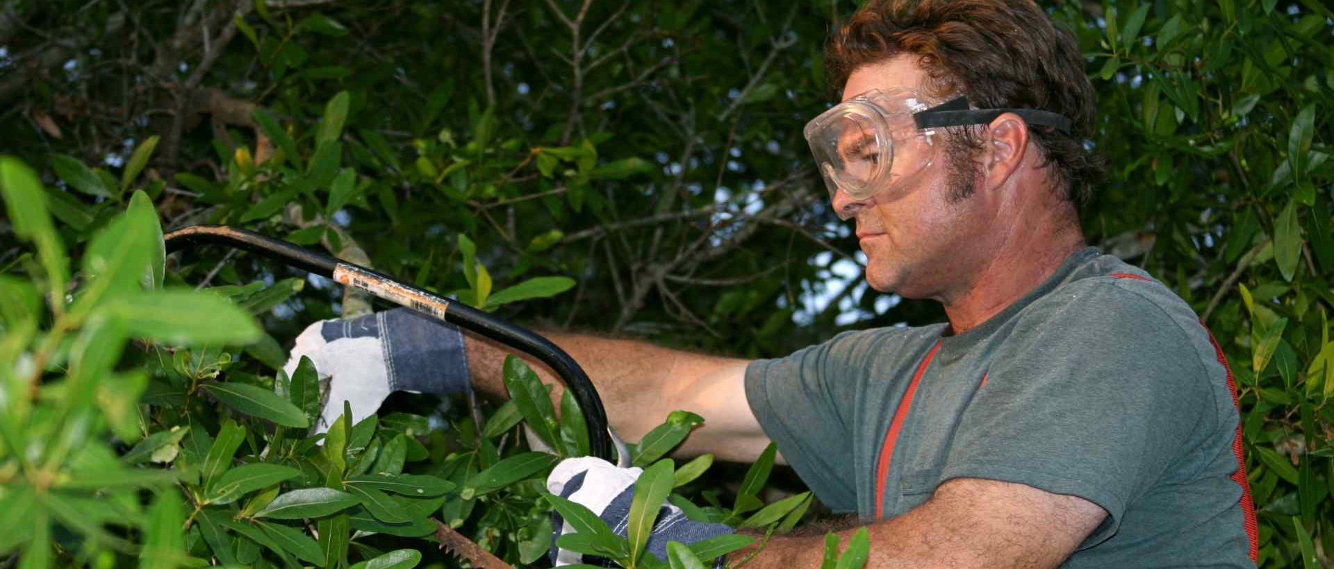 garden clearance W9